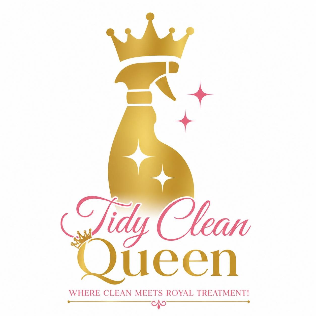 Tidy clean logo